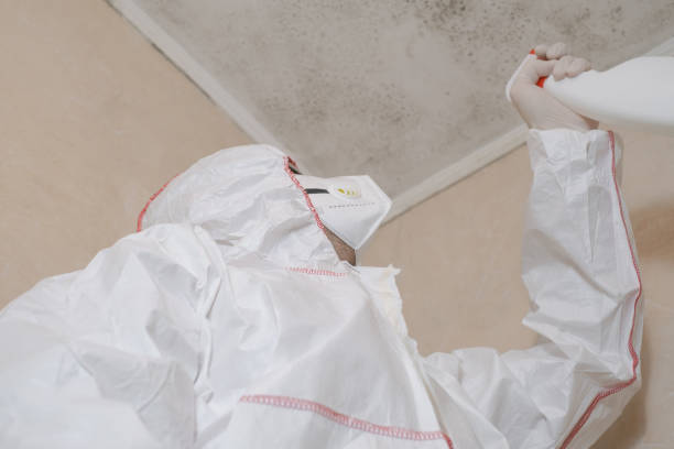 Best Mold Removal and Inspection  in Southgate, KY